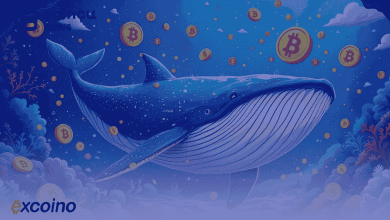 انباشت ۶۰ هزار بیت کوین توسط نهنگها