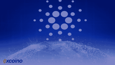 شبکه کاردانو