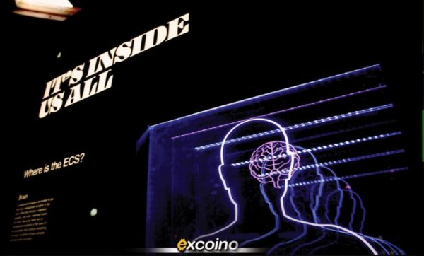 چرا بسیاری از تریدرها ضرر میکنند؟