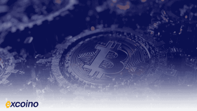 رشد بیت کوین