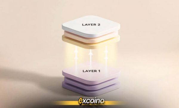 تحلیل عمیق شبکههای لایه دوم