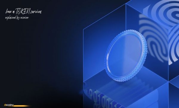 اهمیت توکنومیکس در اکوسیستم بلاکچین