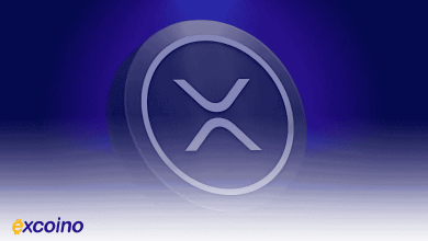 جهش قیمت XRP و پیشبینی آینده بیتکوین | مدیرعامل ریپل چه میگوید؟