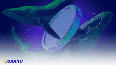 نهنگ‌های کریپتو بعد از توقف تعرفه‌ها کجا سرمایه‌گذاری می‌کنند؟