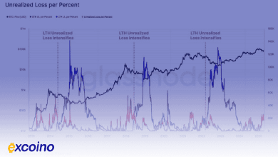 سود همچنان در جیب هولدرهای بلندمدت؛ آیا زمستان بیتکوین نزدیک است؟