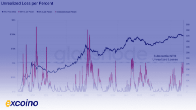 نهنگها در حال شکارند؛ خرید ۵۳ هزار بیتکوین در میانه ضررهای سنگین سرمایهگذاران کوتاهمدت