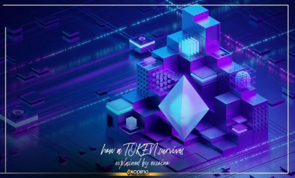 کاربرد واقعی توکن: قلب تپنده ارزشآفرینی