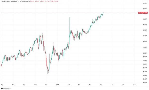 سلطه ۶۵ درصدی بیت‌کوین بر بازار رمزارزها؛ آیا آلت‌کوین‌ها بازمی‌گردند؟