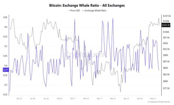 کاهش فعالیت نهنگها