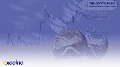 ابر ایچیموکو چه آیندهای برای XRP پیشبینی میکند؟