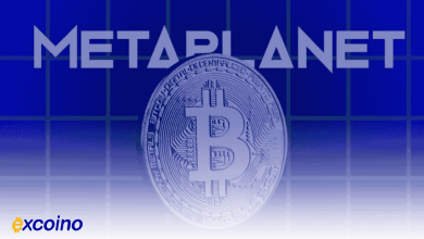 متاپلنت؛ رقیب جدید MicroStrategy در سودآوری بیتکوین؟