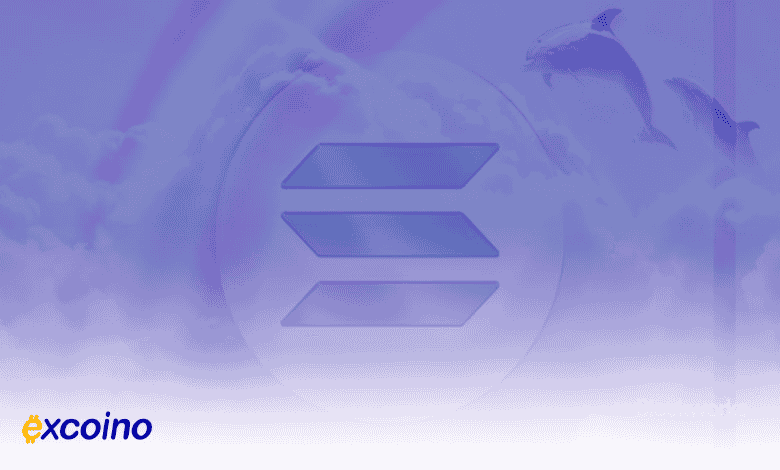 سولانا