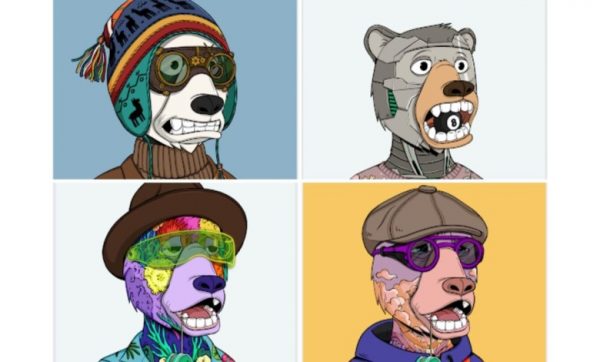 جامعه و اکوسیستم Okay Bears