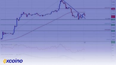 رامش قبل از طوفان بیت کوین یا آغاز ریزش