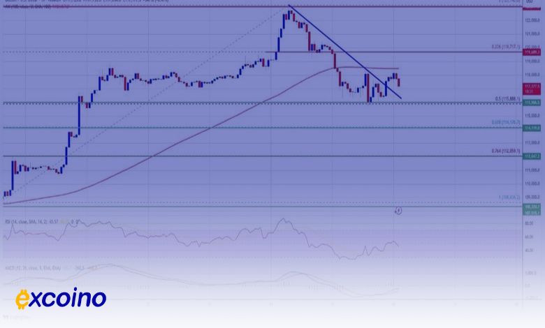رامش قبل از طوفان بیت کوین یا آغاز ریزش