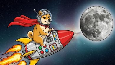 3 رقیب اصلی دوج کوین