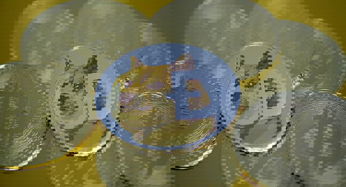 مواردی که قبل از خرید دوج کوین باید بدانید