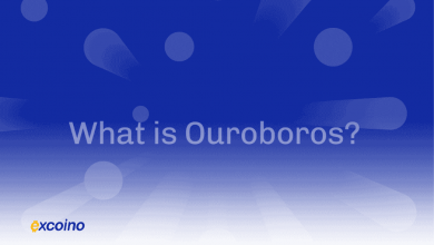 Ouroboros چیست؟