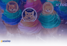 تولد ۵ سالگی شیبا اینو با رشد حیرت‌انگیز ۲۱,۶۰۰,۰۰۰ درصدی