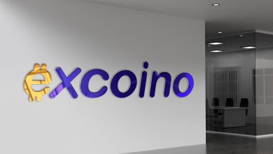 چهار سال تخریب برای رقابت؛ روایت مستند اکسکوینو از اکسکوین و حقیقت پنهان