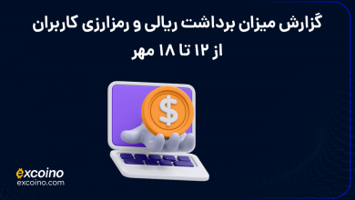 گزارش برداشت ریالی و رمز ارزی کاربران