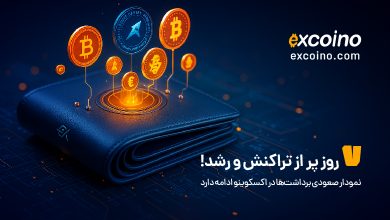 گزارش میزان برداشت ریالی و رمزارزی کاربران اکسکوینو در ۷ روز گذشته