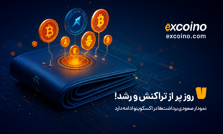 گزارش میزان برداشت ریالی و رمزارزی کاربران اکسکوینو در ۷ روز گذشته