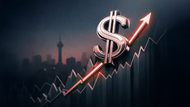 نوسانات ارزی در بازار ایران