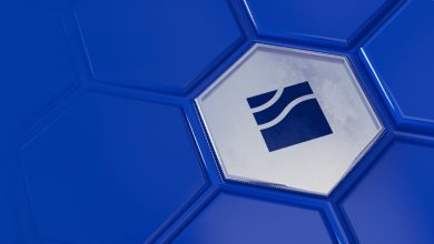 ساب‌ اسکویید چیست؟